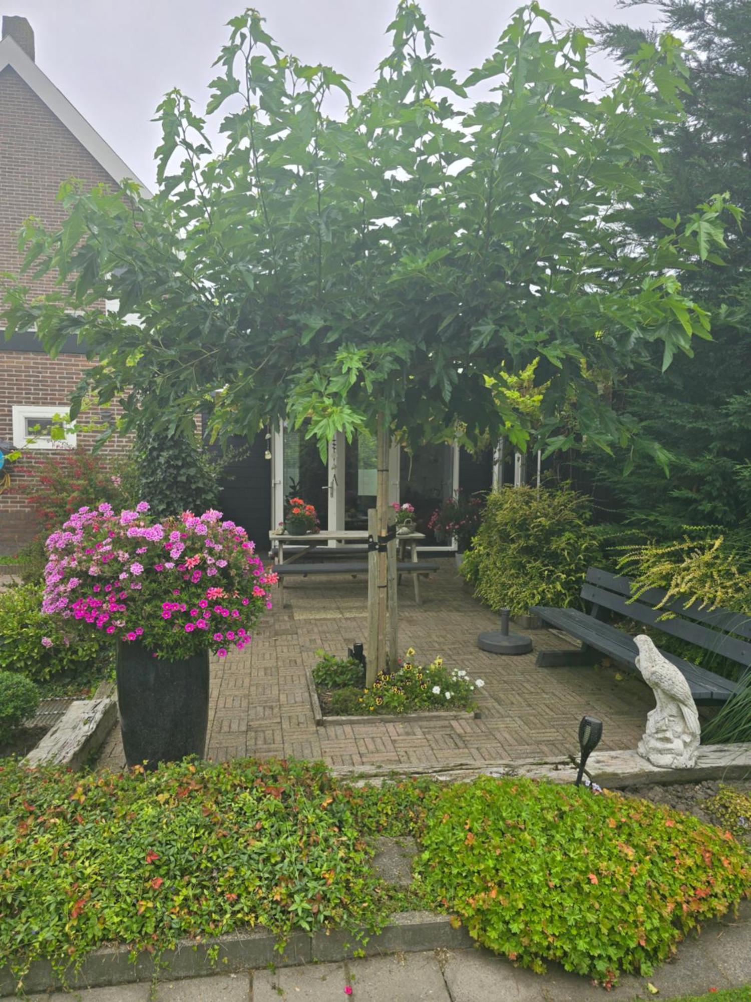 B&B Welkom Zierikzee Exterior photo